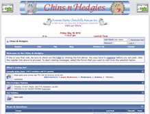 Tablet Screenshot of chins-n-hedgies.com